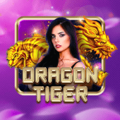 jljl55 link Dragon Tiger live casino